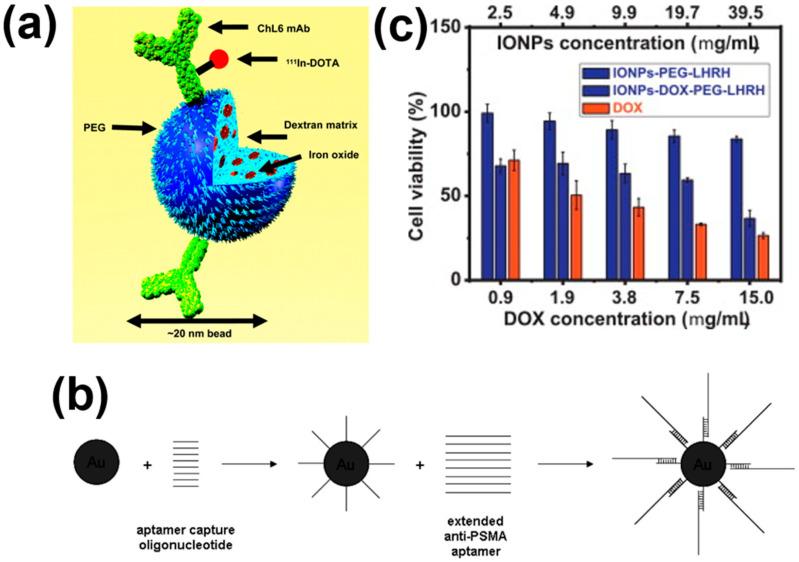 https://cdn.ncbi.nlm.nih.gov/pmc/blobs/d586/8147361/16847109b234/nanomaterials-11-01203-g003.jpg