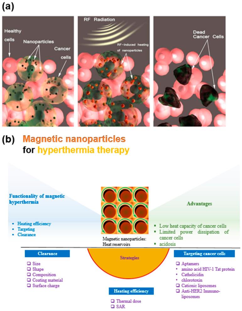 https://cdn.ncbi.nlm.nih.gov/pmc/blobs/d586/8147361/a1781e0111d6/nanomaterials-11-01203-g001.jpg