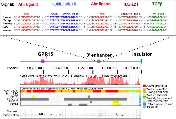 https://cdn.ncbi.nlm.nih.gov/pmc/blobs/d587/7934811/5c8e4154f254/41385_2021_390_Fig1_HTML.jpg