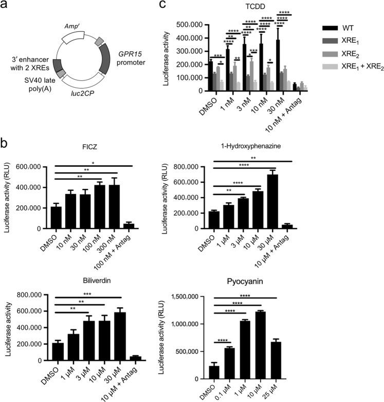 https://cdn.ncbi.nlm.nih.gov/pmc/blobs/d587/7934811/dcb48acae84a/41385_2021_390_Fig2_HTML.jpg