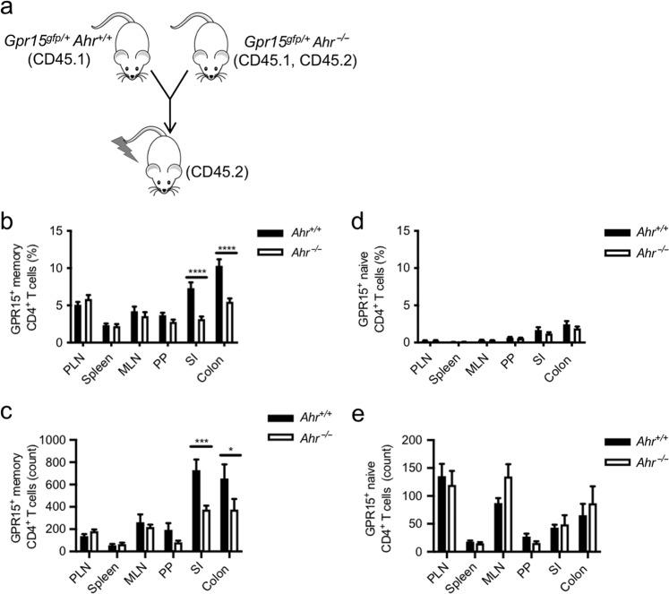 https://cdn.ncbi.nlm.nih.gov/pmc/blobs/d587/7934811/f1354adb6673/41385_2021_390_Fig5_HTML.jpg
