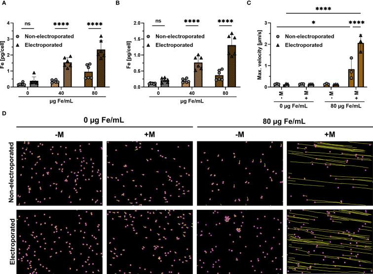 https://cdn.ncbi.nlm.nih.gov/pmc/blobs/d588/10470061/045562d6ad5f/fimmu-14-1223695-g002.jpg