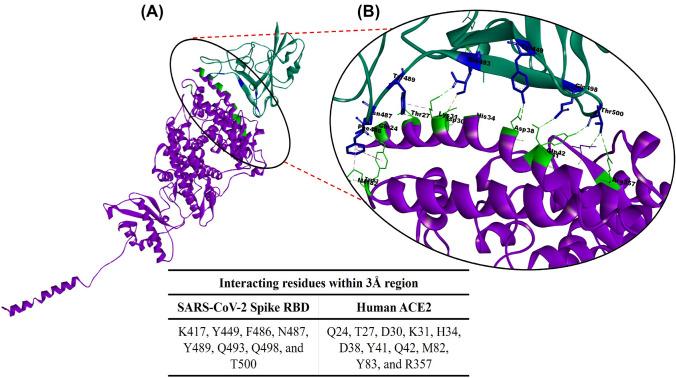 https://cdn.ncbi.nlm.nih.gov/pmc/blobs/d588/8363732/6024c36b2113/40268_2021_357_Fig1_HTML.jpg