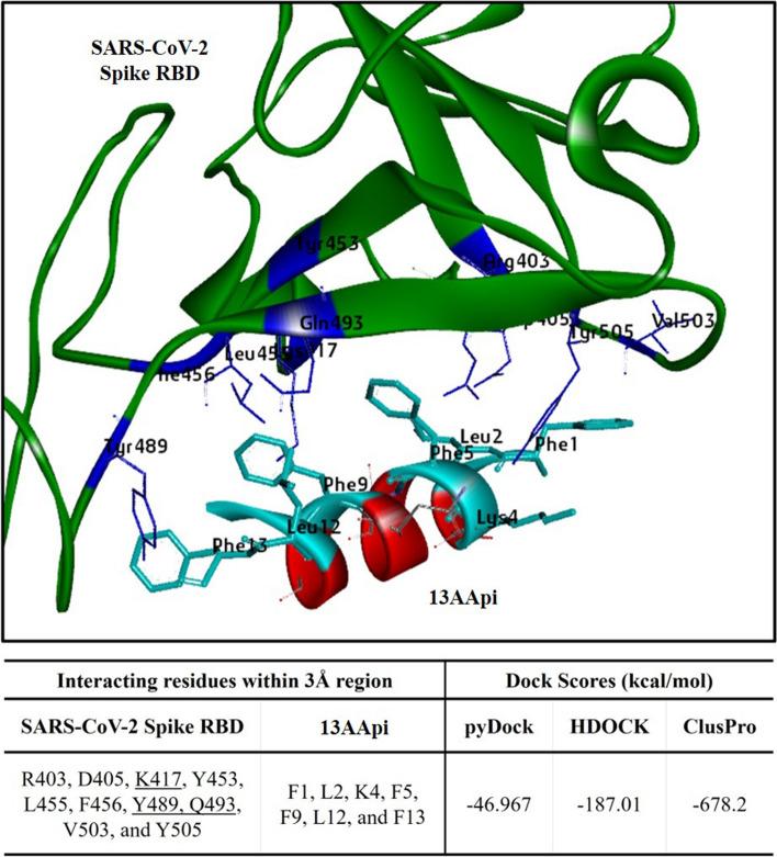 https://cdn.ncbi.nlm.nih.gov/pmc/blobs/d588/8363732/8bcee77372dc/40268_2021_357_Fig2_HTML.jpg