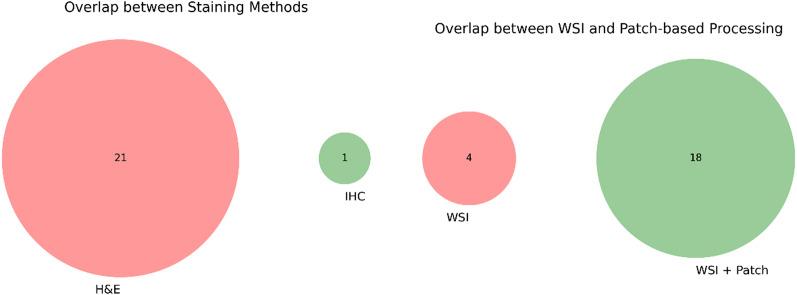 https://cdn.ncbi.nlm.nih.gov/pmc/blobs/d58a/12317529/c2bc70df4470/12885_2025_14662_Fig6_HTML.jpg