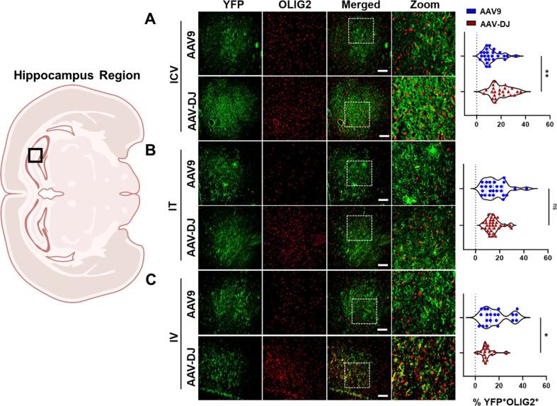 https://cdn.ncbi.nlm.nih.gov/pmc/blobs/d58c/11375878/488d6c2b7c93/12967_2024_5599_Fig7_HTML.jpg