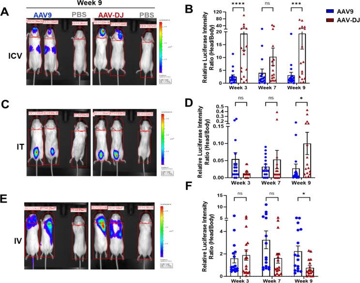 https://cdn.ncbi.nlm.nih.gov/pmc/blobs/d58c/11375878/88e91496fd90/12967_2024_5599_Fig2_HTML.jpg