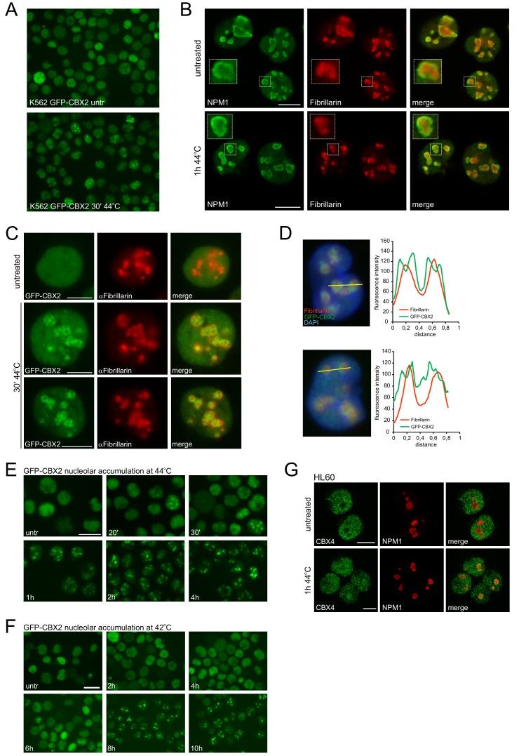 https://cdn.ncbi.nlm.nih.gov/pmc/blobs/d58d/6570483/57acf5f222de/elife-45205-fig1-figsupp2.jpg
