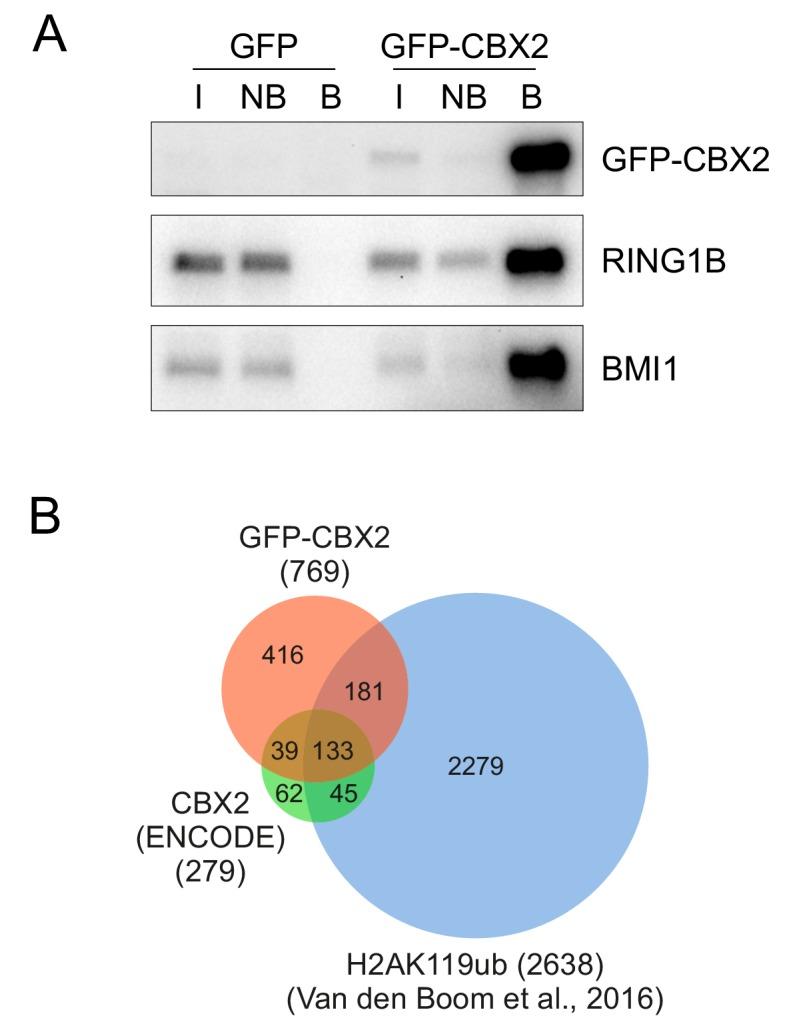 https://cdn.ncbi.nlm.nih.gov/pmc/blobs/d58d/6570483/597afe739fe2/elife-45205-fig1-figsupp1.jpg