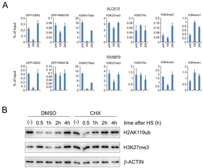 https://cdn.ncbi.nlm.nih.gov/pmc/blobs/d58d/6570483/a5cf8219ee38/elife-45205-fig6-figsupp2.jpg