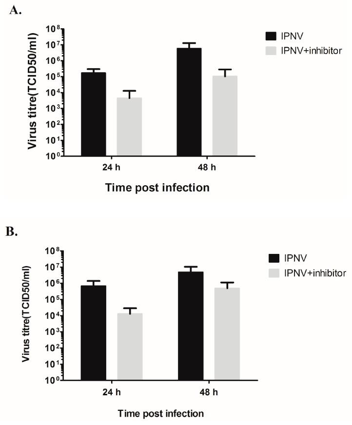 https://cdn.ncbi.nlm.nih.gov/pmc/blobs/d58f/4926193/5951f423c693/viruses-08-00173-g007.jpg