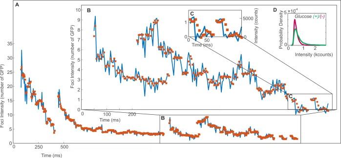 https://cdn.ncbi.nlm.nih.gov/pmc/blobs/d58f/5602325/59d46fa40a0f/elife-27451-fig1-figsupp3.jpg