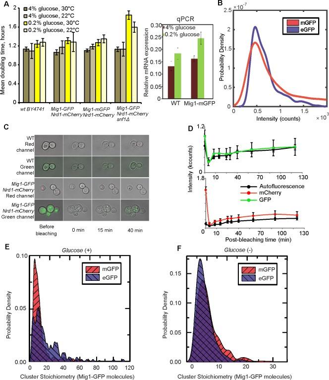 https://cdn.ncbi.nlm.nih.gov/pmc/blobs/d58f/5602325/88430a8ceb15/elife-27451-fig1-figsupp2.jpg