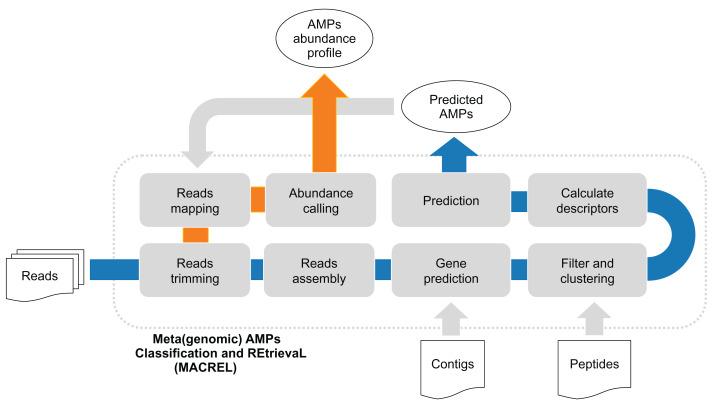 https://cdn.ncbi.nlm.nih.gov/pmc/blobs/d58f/7751412/ad9ff94712b5/peerj-08-10555-g001.jpg