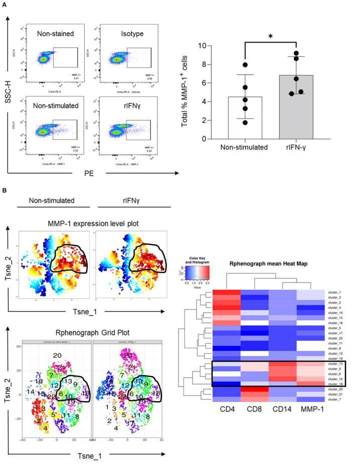 https://cdn.ncbi.nlm.nih.gov/pmc/blobs/d593/8811173/f6ec0678b812/fcvm-08-804111-g0005.jpg