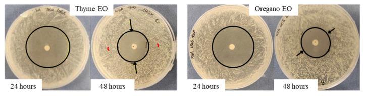 https://cdn.ncbi.nlm.nih.gov/pmc/blobs/d594/9774300/ea210a87ad2e/antibiotics-11-01809-g002.jpg