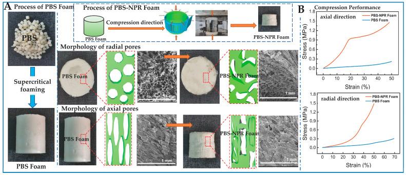 https://cdn.ncbi.nlm.nih.gov/pmc/blobs/d595/10123697/ad055c0c715f/biomimetics-08-00140-g005.jpg