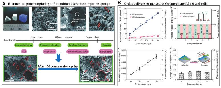 https://cdn.ncbi.nlm.nih.gov/pmc/blobs/d595/10123697/bfd8e6a02b54/biomimetics-08-00140-g004.jpg