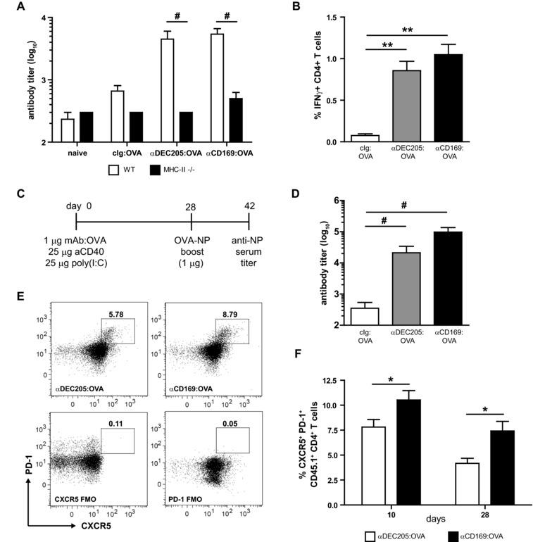 https://cdn.ncbi.nlm.nih.gov/pmc/blobs/d595/4843951/80ce7303bf63/EJI-45-747-g003.jpg