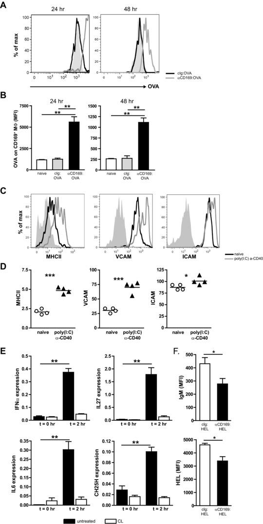 https://cdn.ncbi.nlm.nih.gov/pmc/blobs/d595/4843951/c7b5da0f6261/EJI-45-747-g004.jpg