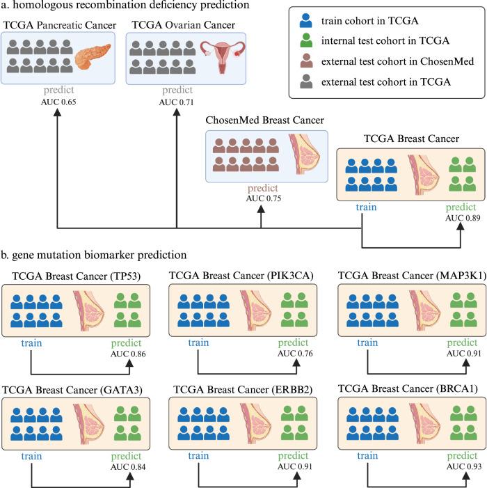 https://cdn.ncbi.nlm.nih.gov/pmc/blobs/d596/12125258/90ea391dad7c/41698_2025_950_Fig2_HTML.jpg