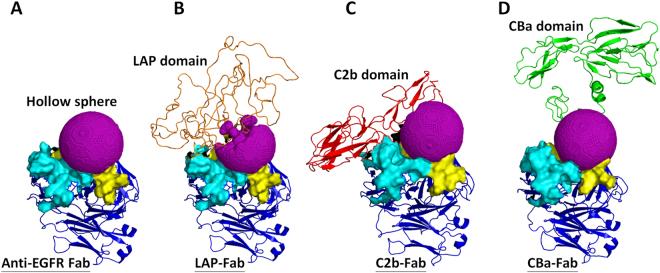 https://cdn.ncbi.nlm.nih.gov/pmc/blobs/d599/5599682/618a14345cc6/41598_2017_11886_Fig7_HTML.jpg