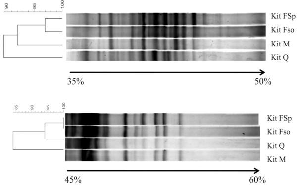 https://cdn.ncbi.nlm.nih.gov/pmc/blobs/d59a/2901363/387c6a3df980/1475-2891-9-23-6.jpg