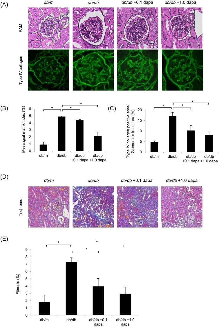 https://cdn.ncbi.nlm.nih.gov/pmc/blobs/d59b/4069074/56e6732a9108/pone.0100777.g002.jpg