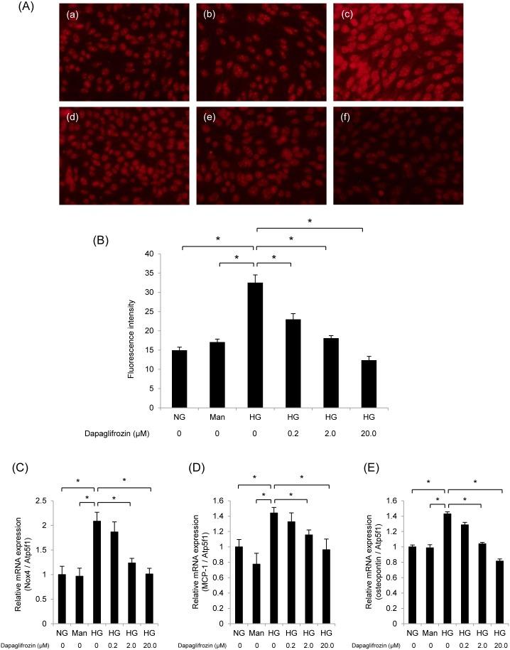 https://cdn.ncbi.nlm.nih.gov/pmc/blobs/d59b/4069074/58da1ec6da25/pone.0100777.g007.jpg