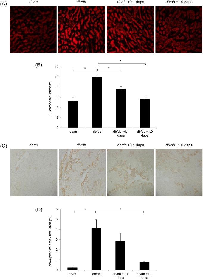 https://cdn.ncbi.nlm.nih.gov/pmc/blobs/d59b/4069074/bafbe70bfa8b/pone.0100777.g005.jpg