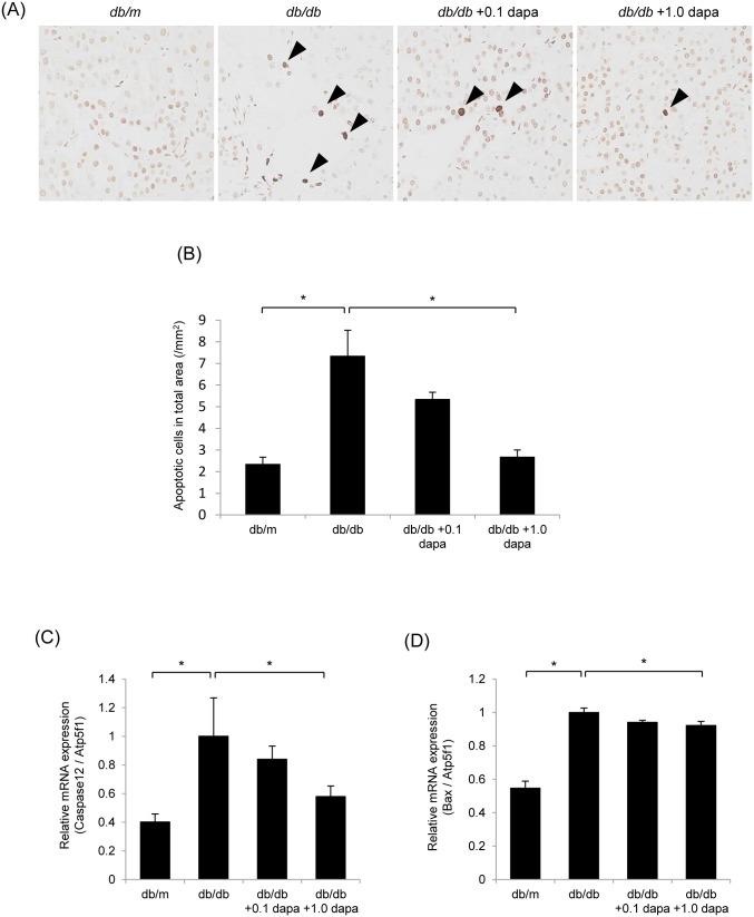 https://cdn.ncbi.nlm.nih.gov/pmc/blobs/d59b/4069074/d1c32ab499d9/pone.0100777.g006.jpg