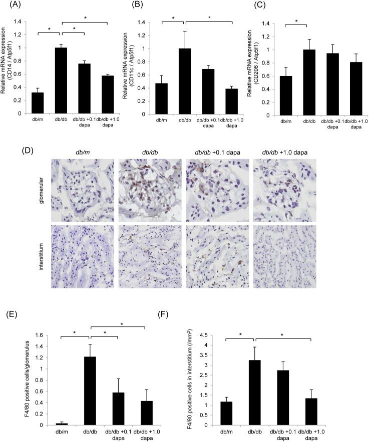 https://cdn.ncbi.nlm.nih.gov/pmc/blobs/d59b/4069074/d385b56881d3/pone.0100777.g003.jpg