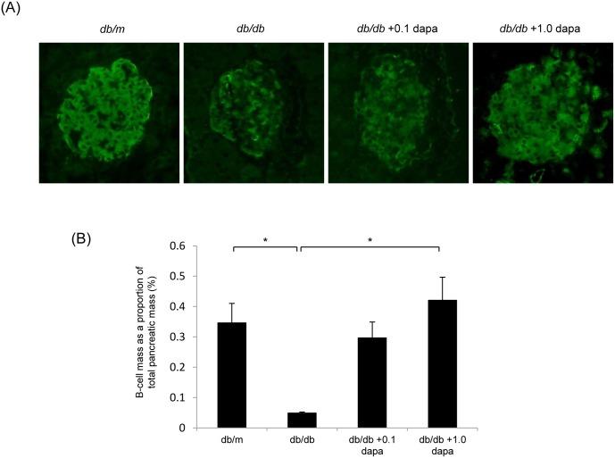 https://cdn.ncbi.nlm.nih.gov/pmc/blobs/d59b/4069074/f50724a79c97/pone.0100777.g008.jpg