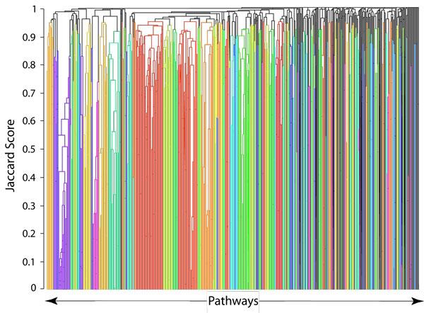 https://cdn.ncbi.nlm.nih.gov/pmc/blobs/d59d/3481446/8064f6b3cfd5/1471-2164-13-S6-S18-2.jpg
