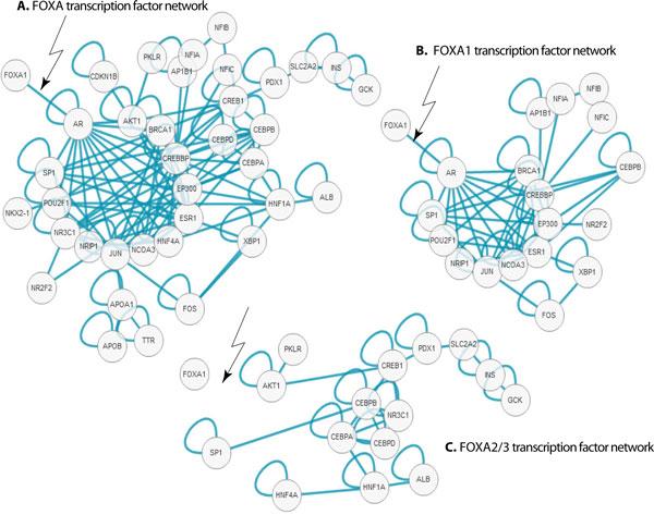 https://cdn.ncbi.nlm.nih.gov/pmc/blobs/d59d/3481446/818feab41686/1471-2164-13-S6-S18-4.jpg