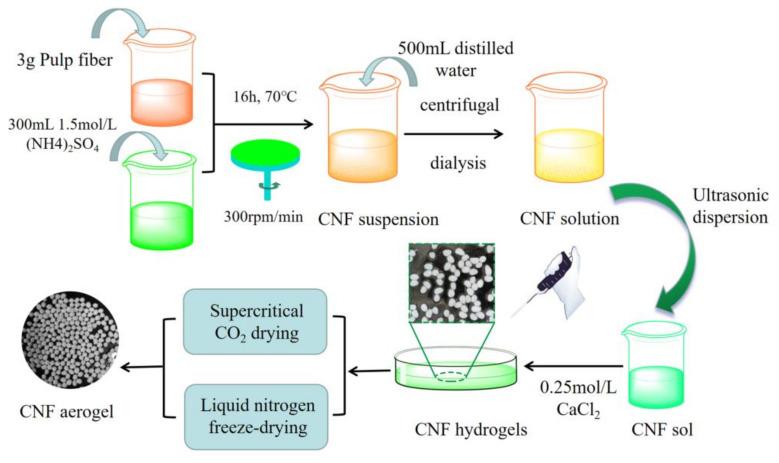 https://cdn.ncbi.nlm.nih.gov/pmc/blobs/d59d/7692565/67a6491435f0/polymers-12-02583-g001.jpg