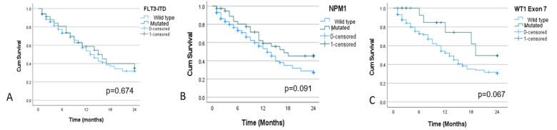 https://cdn.ncbi.nlm.nih.gov/pmc/blobs/d59e/11711371/ba2cf7cba381/APJCP-25-3463-g003.jpg