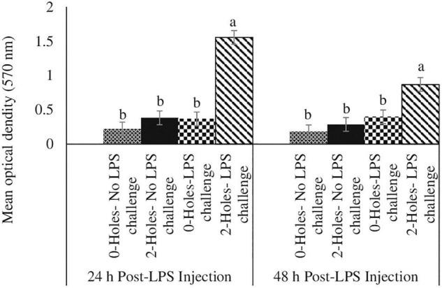 https://cdn.ncbi.nlm.nih.gov/pmc/blobs/d59f/8959886/30c8bbfb1dc0/fphys-13-820349-g003.jpg