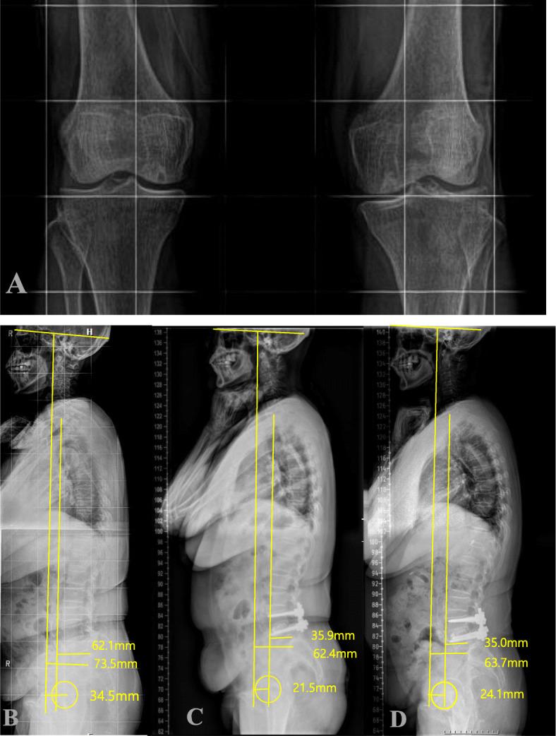 https://cdn.ncbi.nlm.nih.gov/pmc/blobs/d5a0/7659058/a48dd32cf88b/12891_2020_3755_Fig1_HTML.jpg