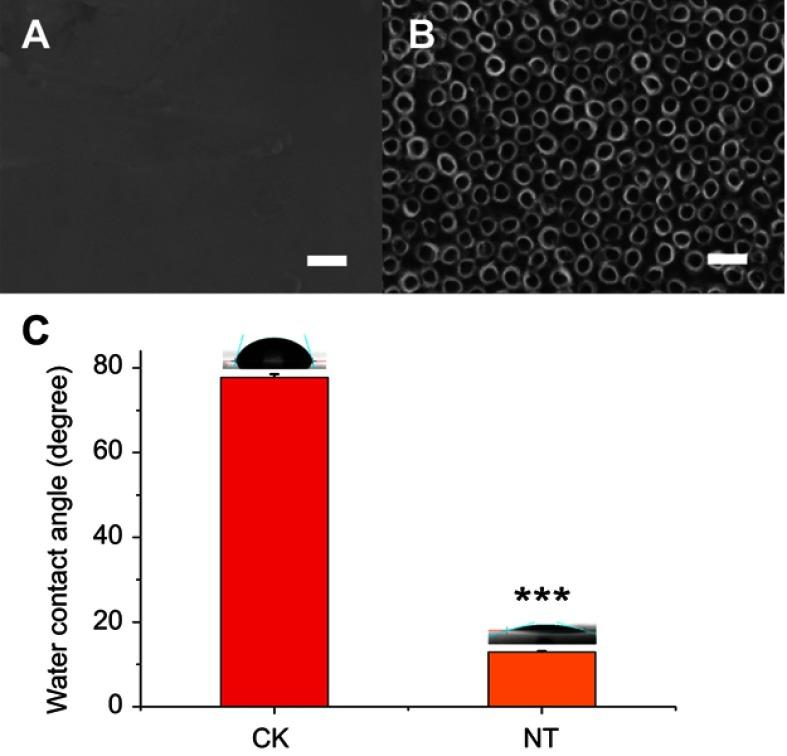 https://cdn.ncbi.nlm.nih.gov/pmc/blobs/d5a2/6519025/49044cb8fbc2/IJN-14-3297-g0001.jpg