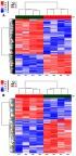 https://cdn.ncbi.nlm.nih.gov/pmc/blobs/d5a2/6519025/54ab2a73810c/IJN-14-3297-g0004.jpg