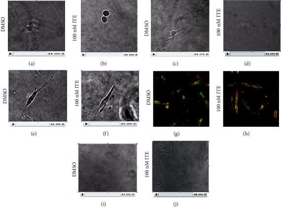 https://cdn.ncbi.nlm.nih.gov/pmc/blobs/d5a2/7556083/92af5da28379/BMRI2020-2616930.003.jpg