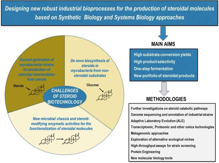 https://cdn.ncbi.nlm.nih.gov/pmc/blobs/d5a3/5962712/01d6ea8ca791/fmicb-09-00958-g0005.jpg