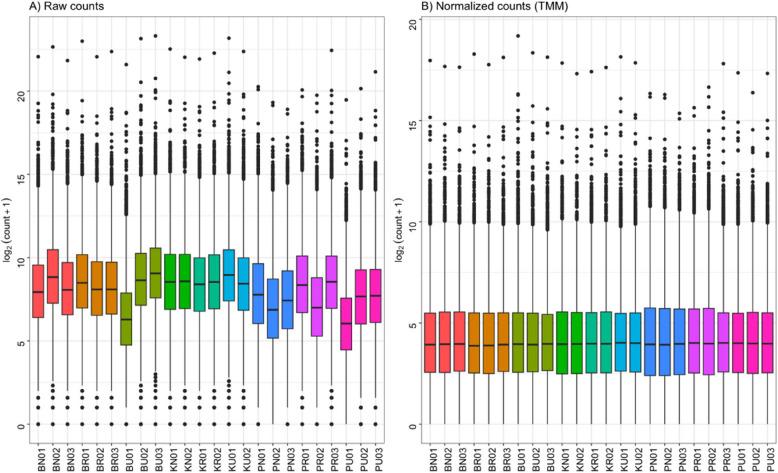 https://cdn.ncbi.nlm.nih.gov/pmc/blobs/d5a5/12142849/7f3d1029af3e/12864_2025_11755_Fig1_HTML.jpg