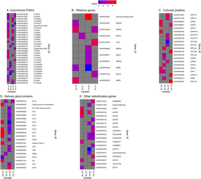 https://cdn.ncbi.nlm.nih.gov/pmc/blobs/d5a5/12142849/daf39cb78b0a/12864_2025_11755_Fig5_HTML.jpg