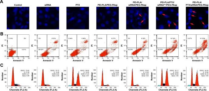 https://cdn.ncbi.nlm.nih.gov/pmc/blobs/d5a5/5916383/10a6cb3561d6/ijn-13-2405Fig7.jpg