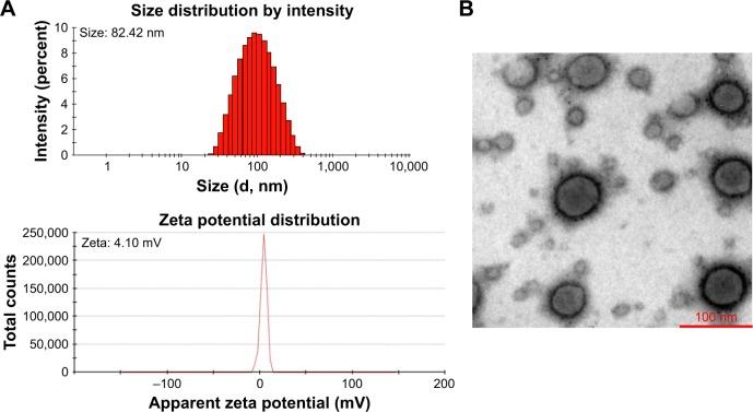 https://cdn.ncbi.nlm.nih.gov/pmc/blobs/d5a5/5916383/a1530f79181d/ijn-13-2405Fig3.jpg