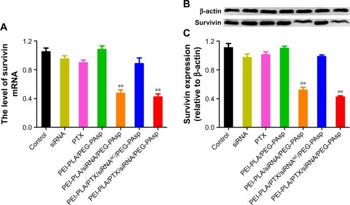 https://cdn.ncbi.nlm.nih.gov/pmc/blobs/d5a5/5916383/c1f85e8de538/ijn-13-2405Fig5.jpg