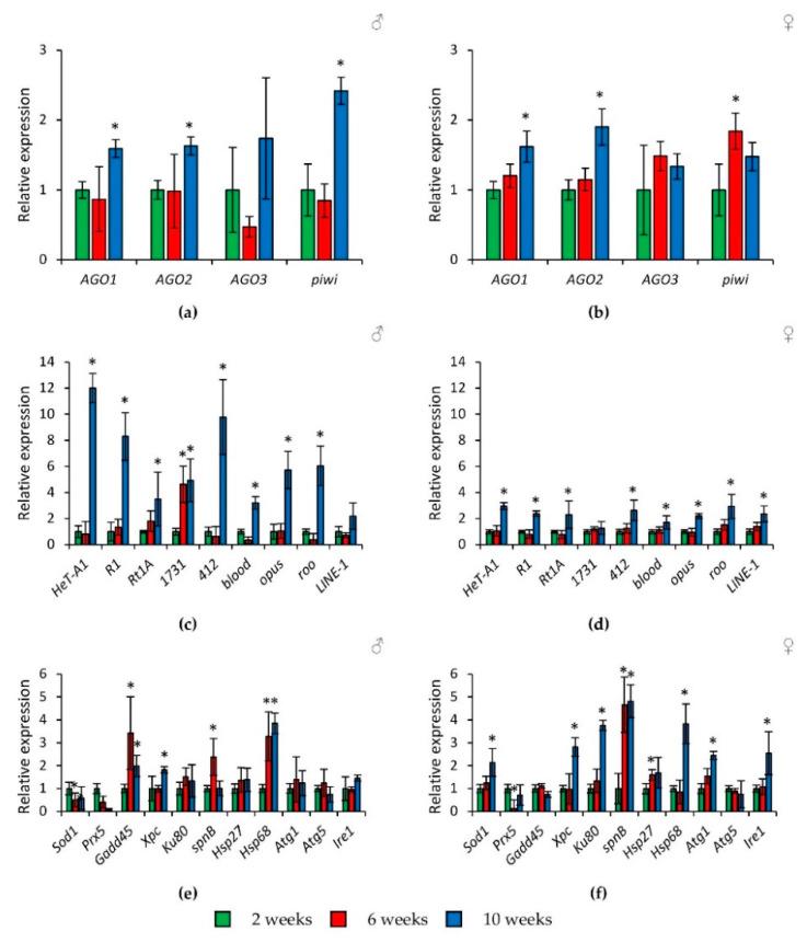 https://cdn.ncbi.nlm.nih.gov/pmc/blobs/d5a6/7957547/928377d7d8b7/ijms-22-02396-g004.jpg