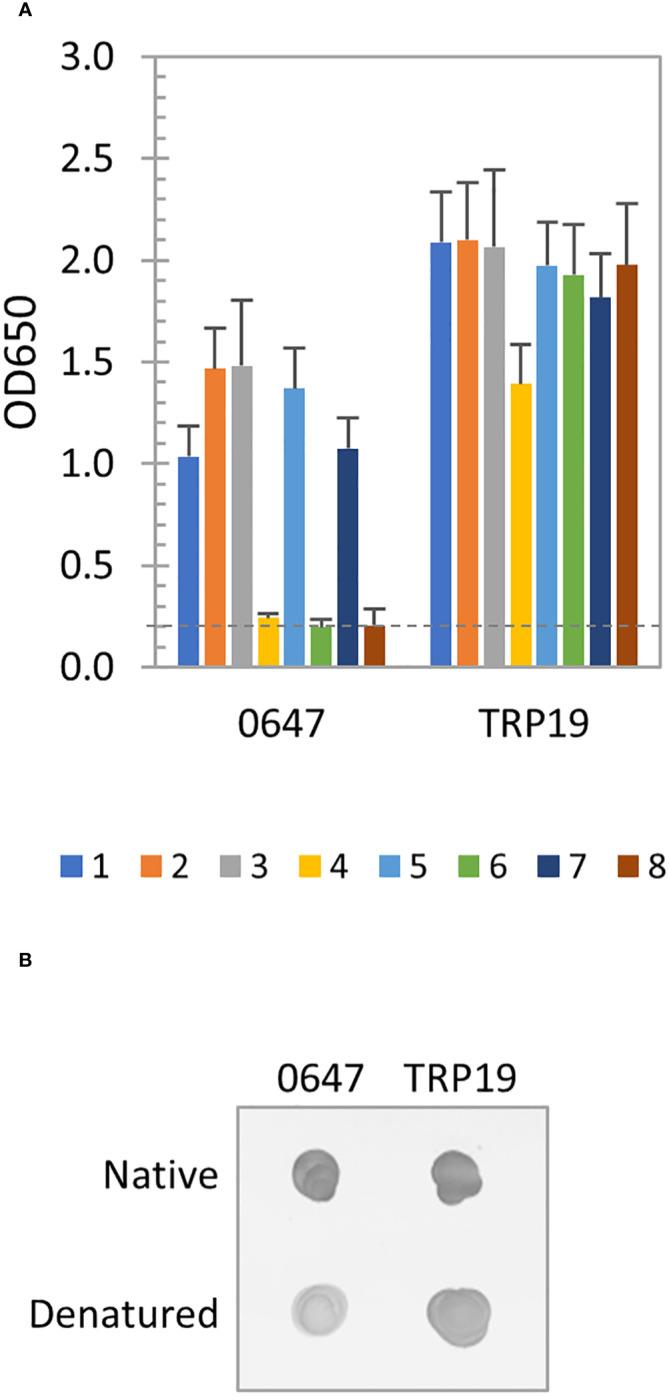 https://cdn.ncbi.nlm.nih.gov/pmc/blobs/d5a8/10803646/17ebea79d269/fcimb-13-1321291-g004.jpg